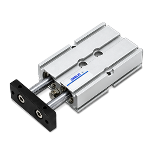 TD-Dual Rod Cylinder