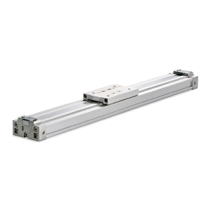 PRE Joint Rodless Cylinder
