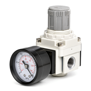 ERV-Vacuum Regulator